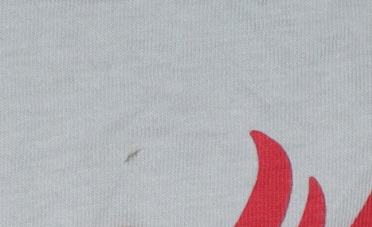 Boys UK Size 10-11 Years St. Bernard Red Basic T-Shirt