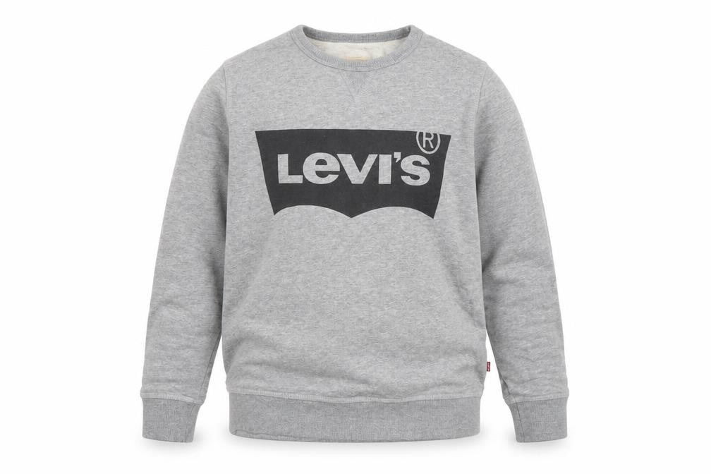 Front view of Levi's boys’ grey logo crew neck fleece sweatshirt, size 14, years
