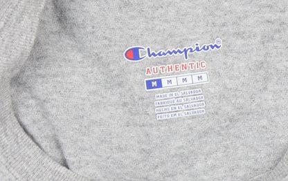 Champion Men's Grey Summit Eagles Long Sleeve Casual Top M