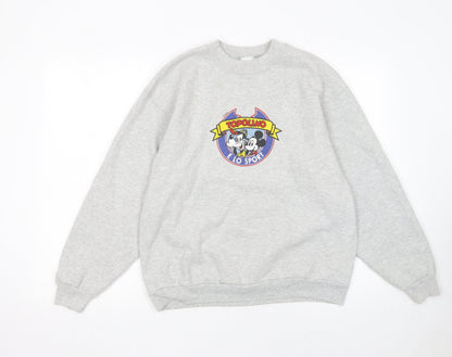 Womens UK Size M Fruit of the Loom Grey Pullover Sweatshirt
