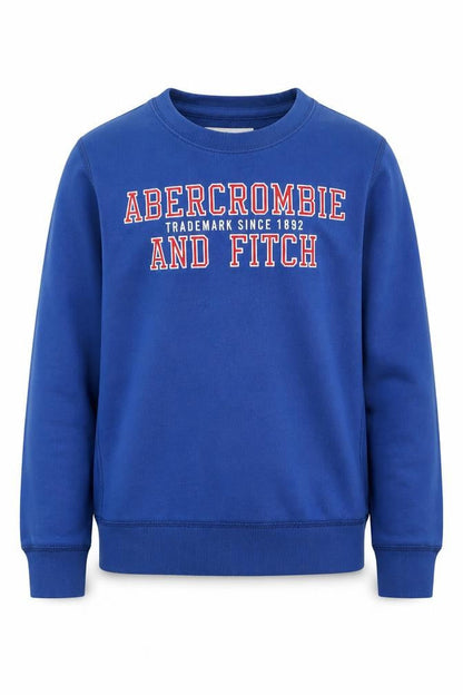 Abercrombie & Fitch Boys Blue 9-10 Years Pullover Fleece Sweatshirt