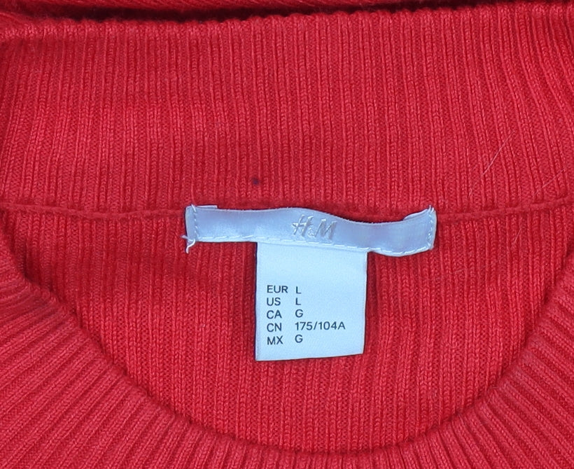 Womens UK Size L H&M Fit & Flare Dress