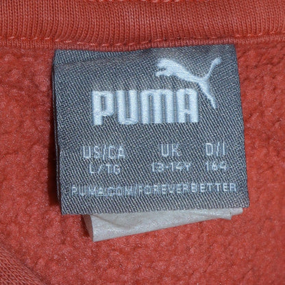 Puma Boys Multicoloured 13-14 Years Pullover Hoodie with Logo