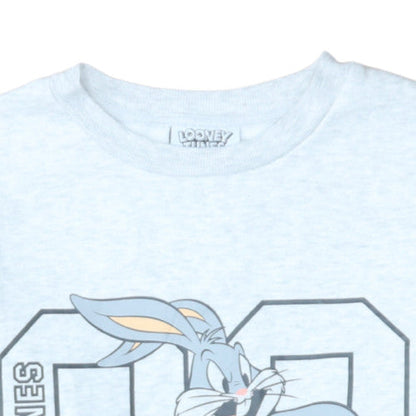Mens UK Size S Looney Tunes Grey Pullover Sweatshirt