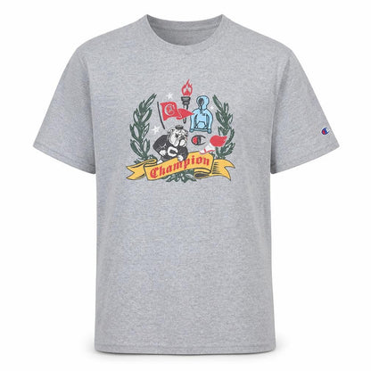 Mens UK Size M Champion Grey  T-Shirt