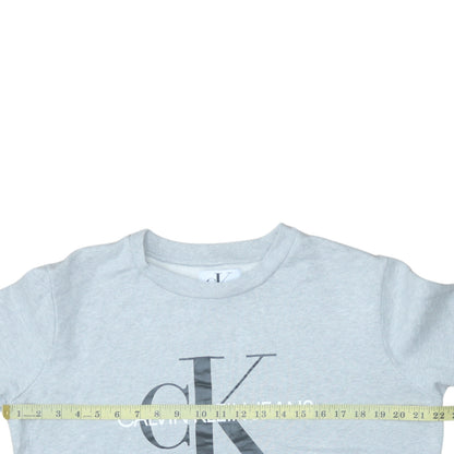 Mens UK Size L Calvin Klein Jeans Grey Pullover Sweatshirt