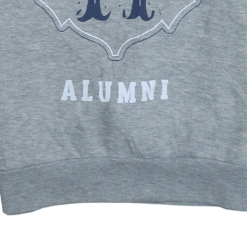 Womens UK Size S Harry Potter Grey Pullover Sweatshirt