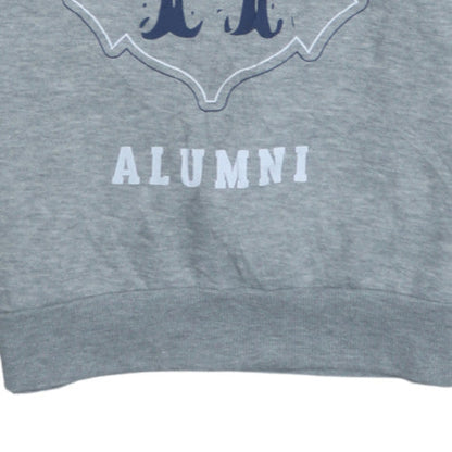 Womens UK Size S Harry Potter Grey Pullover Sweatshirt
