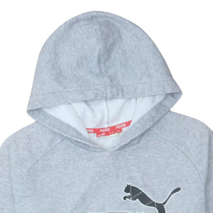 Mens UK Size S Puma Grey Pullover Hoodie