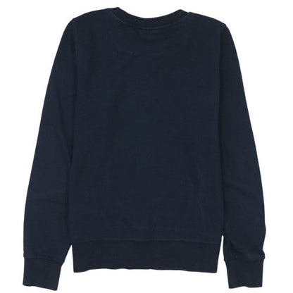 Mens UK Size M Champion Blue Pullover Sweatshirt