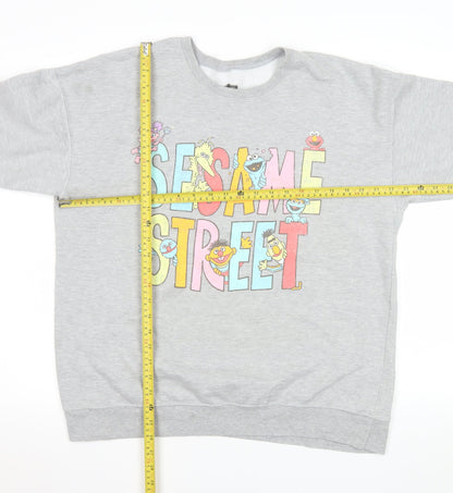 Mens UK Size L Sesame Street Grey Pullover Sweatshirt