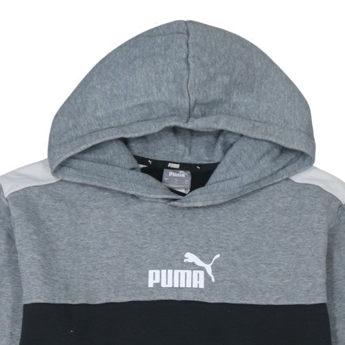 Mens UK Size L Puma Grey Pullover Hoodie