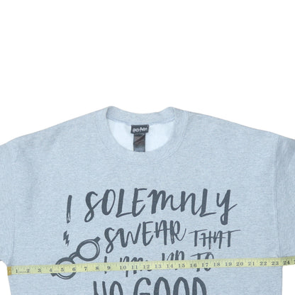 Womens UK Size M Harry Potter Grey Pullover Sweatshirt