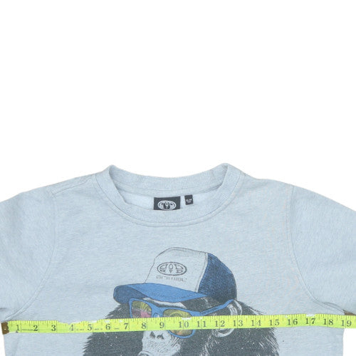 Animal Boys Grey Graphic Print Pullover Sweatshirt 13-14 Years