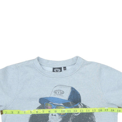 Animal Boys Grey Graphic Print Pullover Sweatshirt 13-14 Years