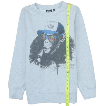 Animal Boys Grey Graphic Print Pullover Sweatshirt 13-14 Years