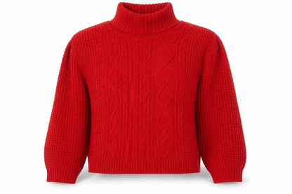 Front view of Jacamo unisex red roll neck cable knit jumper xl