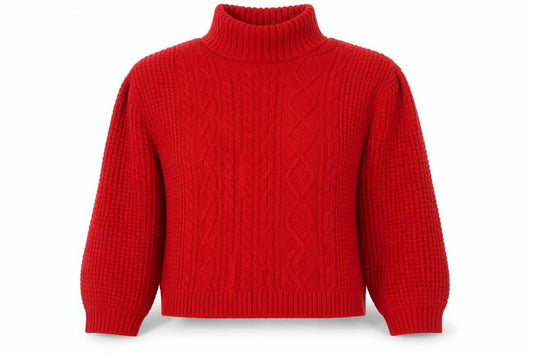 Front view of Jacamo unisex red roll neck cable knit jumper xl
