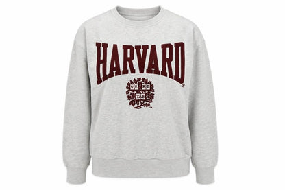 Womens UK Size XS H&M Grey Pullover Sweatshirt