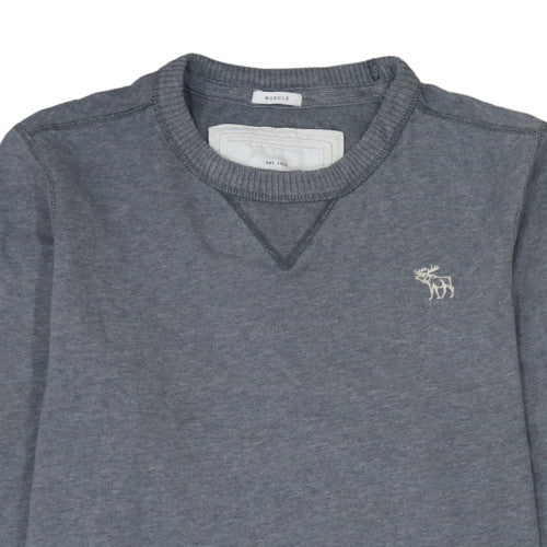 Mens UK Size L Abercrombie & Fitch Grey Pullover Sweatshirt