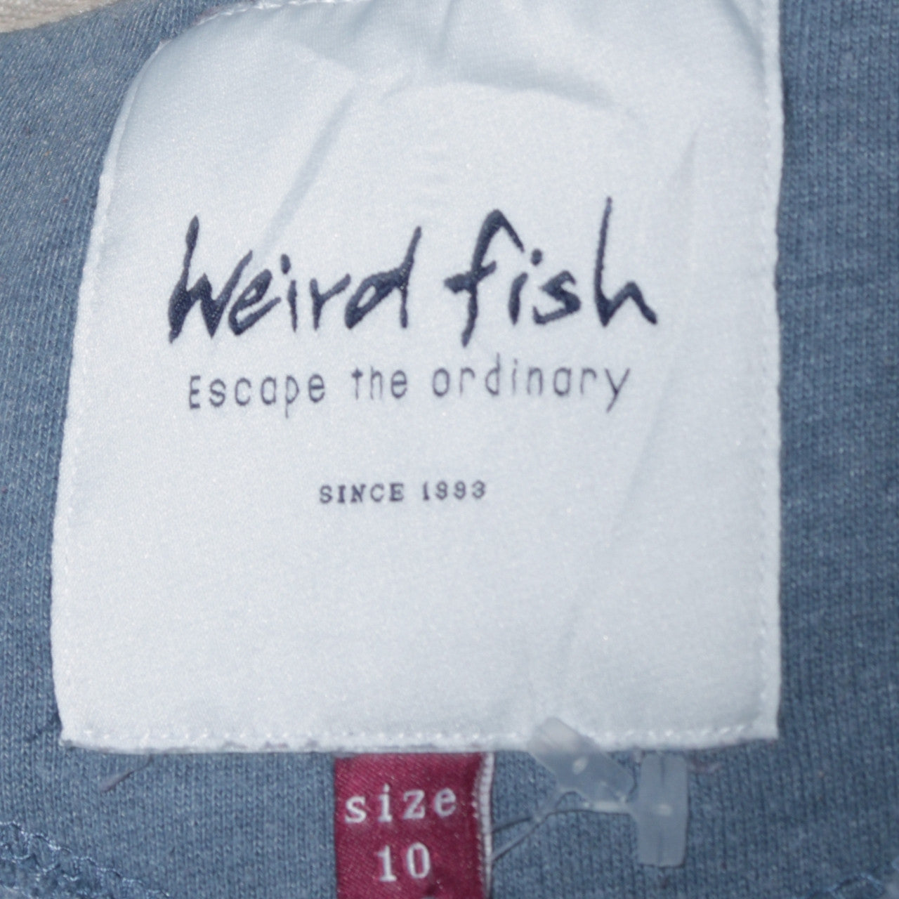 Womens UK Size 10 Weird Fish Blue Pullover Sweatshirt