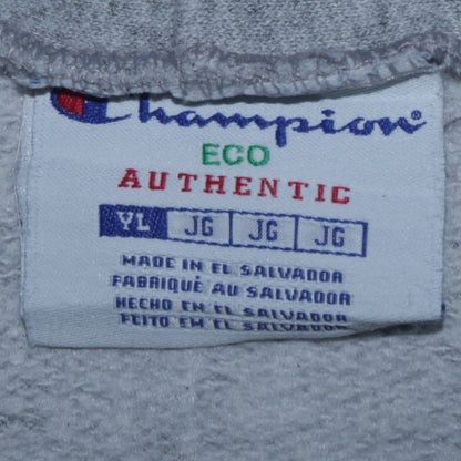 Champion Boys Grey Pullover Hoodie L Tower Hill 1919 Graphic Sweatshirt