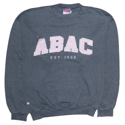 Womens UK Size L Champion Grey Pullover Sweatshirt