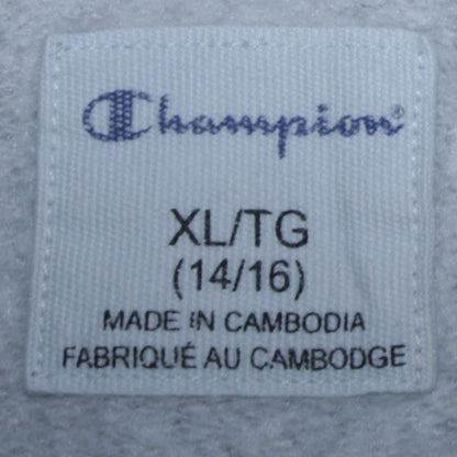 Champion Boys Grey Pullover Hoodie XL (14-16 Years) Logo Fleece Sweatshirt