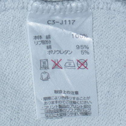 Champion Men's Grey Small Pullover Hoodie with Logo Print