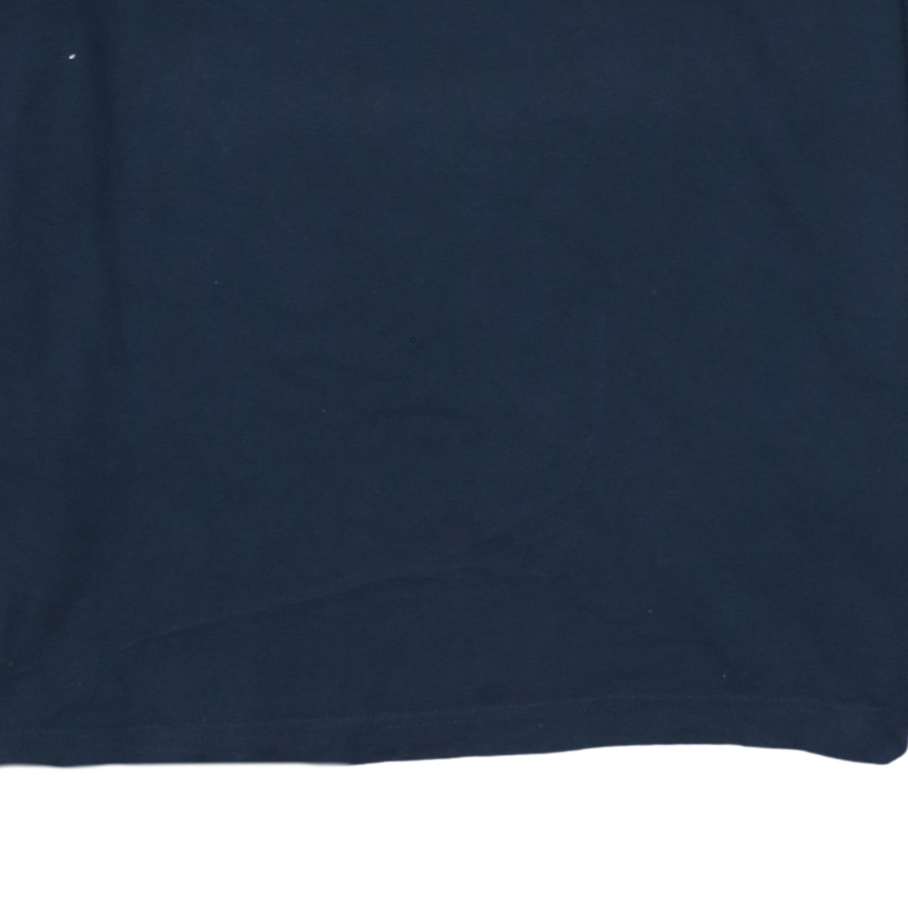 Mens UK Size L Champion Blue  T-Shirt