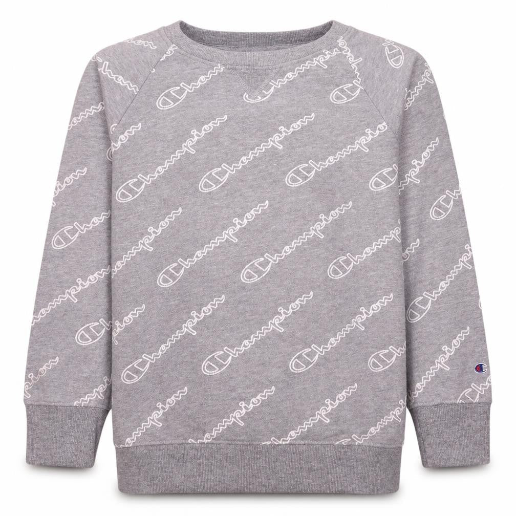 Champion Boys Grey XL Crew Neck Pullover Fleece Sweatshirt