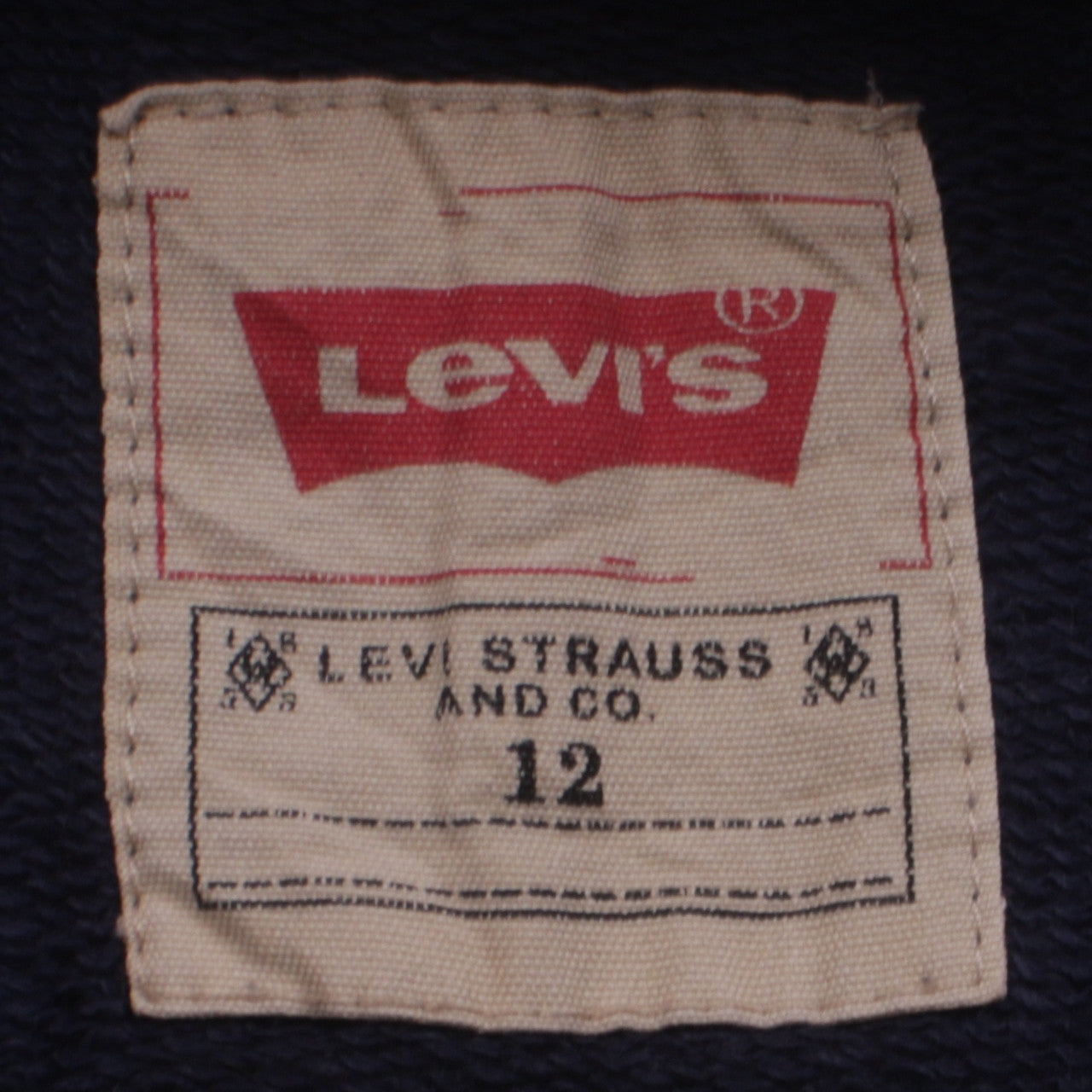 Levi's Boys Blue Graphic Pullover Hoodie Size 12 Years
