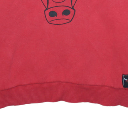 Primark NBA Chicago Bulls Boys Red Pullover Hoodie 9-10 Years