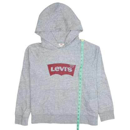 Levi's Men's Grey Logo Pullover Hoodie L