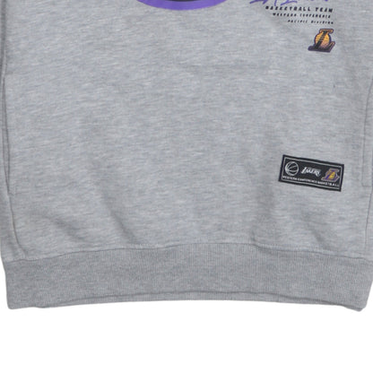 NBA Los Angeles Lakers Boys Grey Pullover Hoodie 11-12 Years Graphic Print