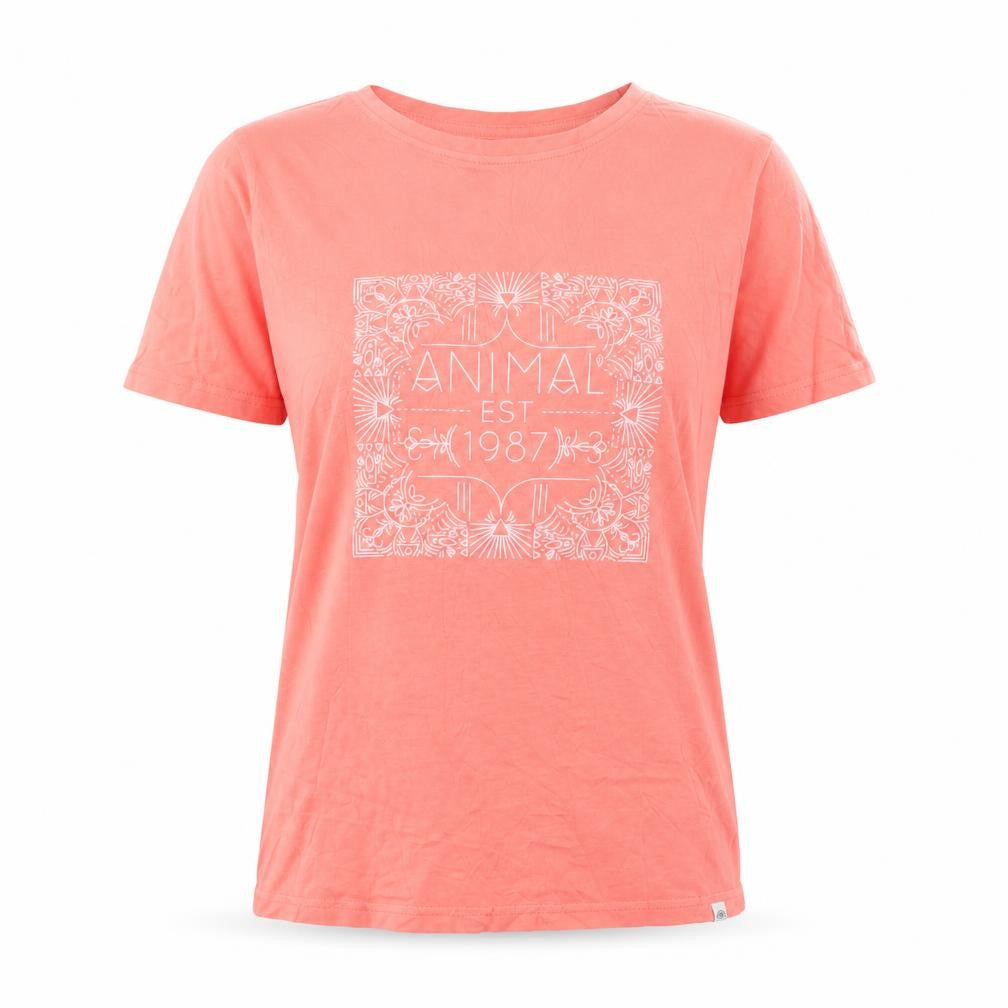 Animal Womens Pink Cotton Crew Neck Short Sleeve T-Shirt UK 8