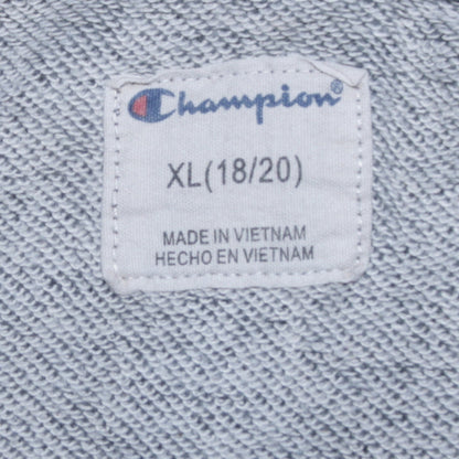 Champion Boys Grey XL Pullover Fleece Hoodie with Logo