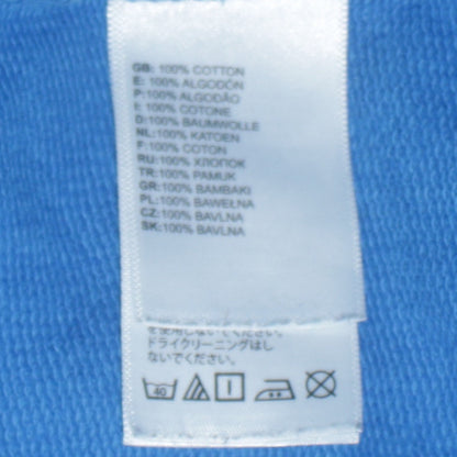 The North Face Mens Blue Pullover Hoodie L Outdoor Cotton