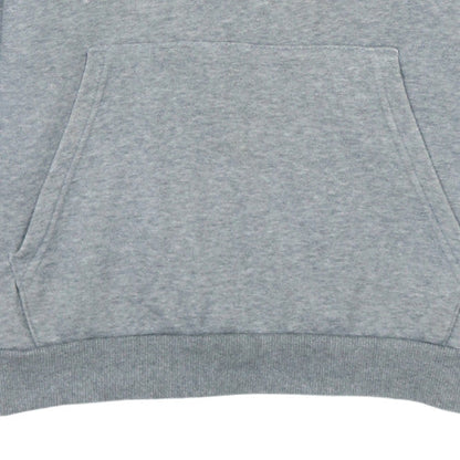Puma Mens Grey Pullover Hoodie Small Regular Fit Graphic Sportswear