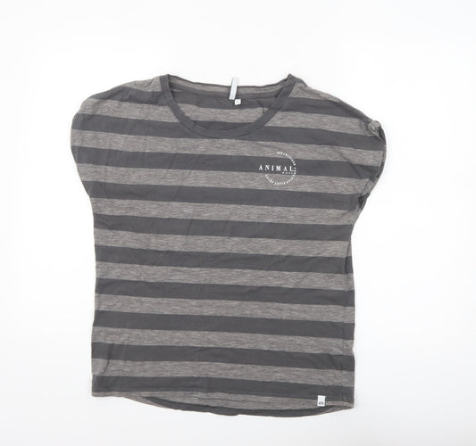 Animal Womens Grey Striped Cotton Crew Neck T-Shirt Size 8