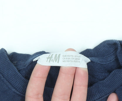 H&M Boys Blue Tiger Embroidered Pullover Sweatshirt 5-6 Years