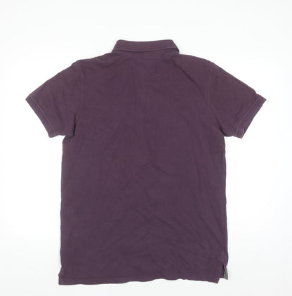 U.S. Polo Assn. Men's Purple 2XL Cotton Colourblock Polo Shirt