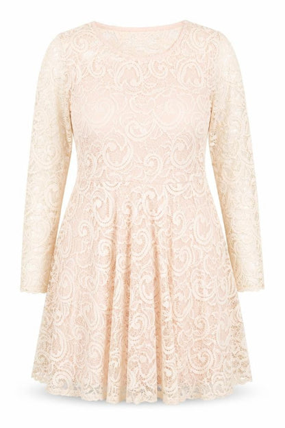 Nikka Women's Beige Lace Fit & Flare Dress Size 16 Party Wedding