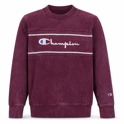 Champion Men's Purple XL Reverse Weave Sweatshirt Vintage Pullover