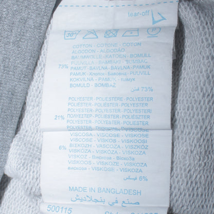 Champion Men's Grey XS Pullover Hoodie with Logo Print
