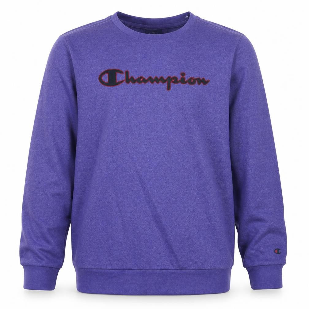 Front view of Champion boys’ purple logo sweatshirt, size 13-14, years crew neck fleece