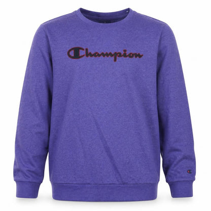 Front view of Champion boys’ purple logo sweatshirt, size 13-14, years crew neck fleece