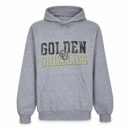 Champion Men’s Grey Pullover Hoodie M Golden Grizzlies Fleece
