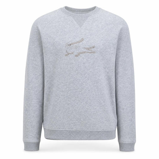 Front view of Lacoste boys’ grey crew neck sweatshirt, size 14, regular fit cotton blend