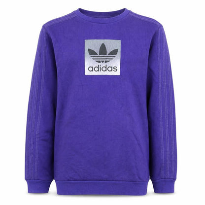 Front view of Adidas boys’ purple crew neck sweatshirt xl 15-16 years pullover logo style